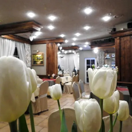 Motel I Restauracja Zodiak Szalsza