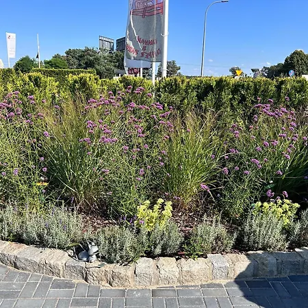 汽车旅馆 I Restauracja Zodiak