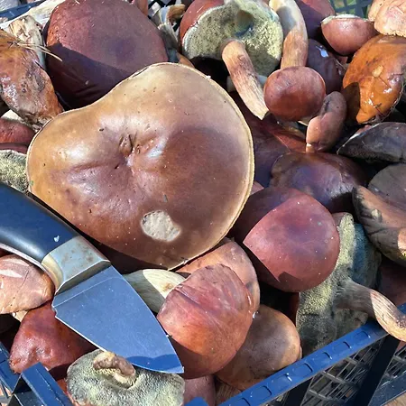 I Restauracja Zodiak Motel *