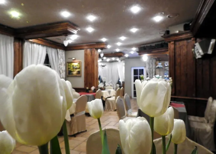 Motel I Restauracja Zodiak Szalsza