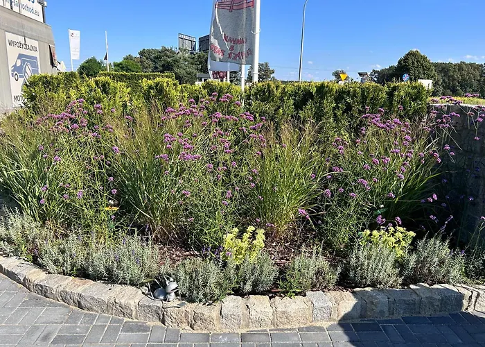 汽车旅馆 I Restauracja Zodiak