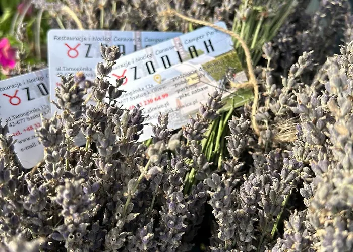 I Restauracja Zodiak 汽车旅馆 *