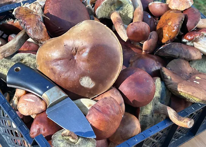 I Restauracja Zodiak 汽车旅馆 *